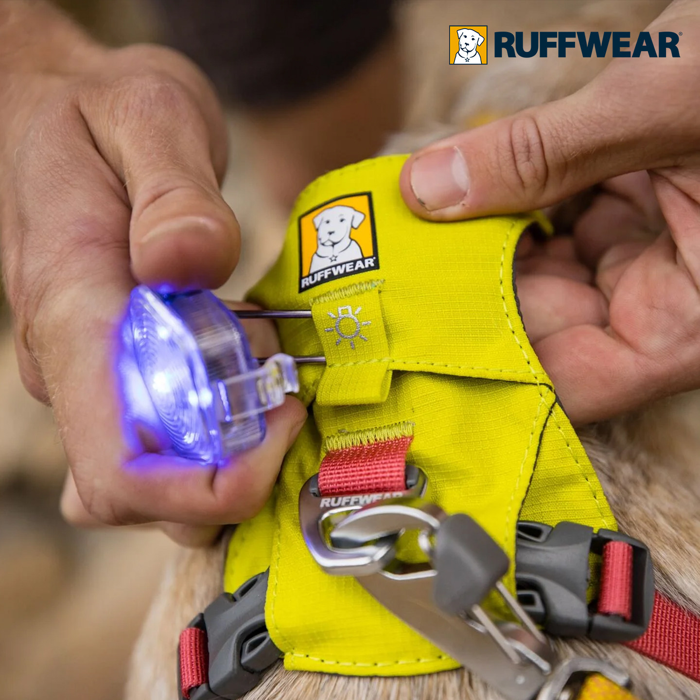 Ruffwear拉夫威尔毕格灯遛狗灯狗狗夜行灯安全灯三色LED充电防水