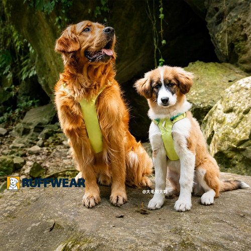 Ruffwear拉夫威尔定制色胸背牵引