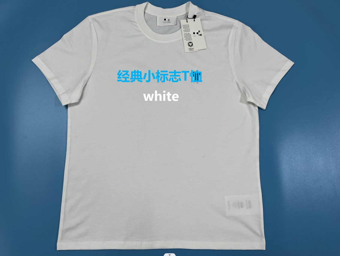 thumbnail for Classic Small Logo T-Shirt