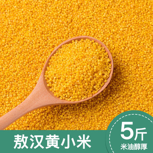 2025年新敖汉小米农家黄小米5斤