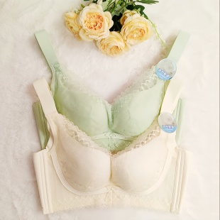 25212010聚拢收副乳文胸 B杯薄款 海绵厚度0.5cm 香蜜闺秀