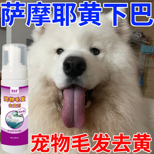 萨摩耶毛发去黄免洗泡沫清洁剂氧化去黄清洁去污免水洗专用去黄剂