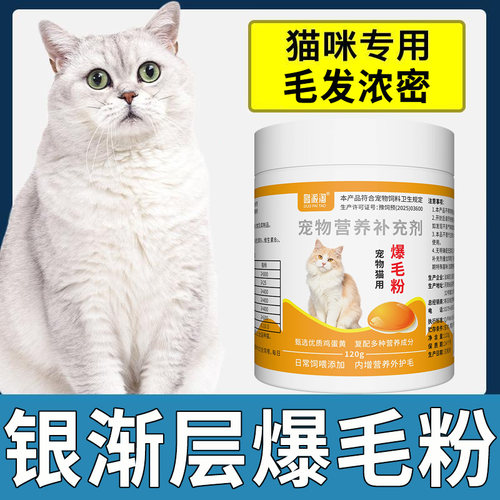 银渐层爆毛粉猫咪减少掉毛增毛美毛亮毛防掉毛专用宠物营养补充剂