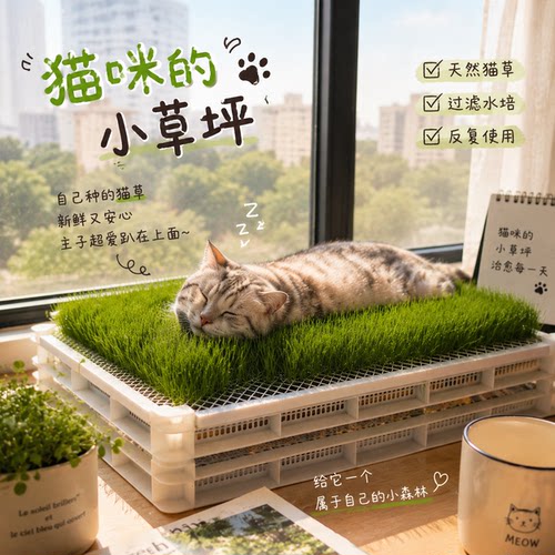 猫咪私人小草坪！超大号猫草种植盆室内宠物草坪窗台绿植种植盒