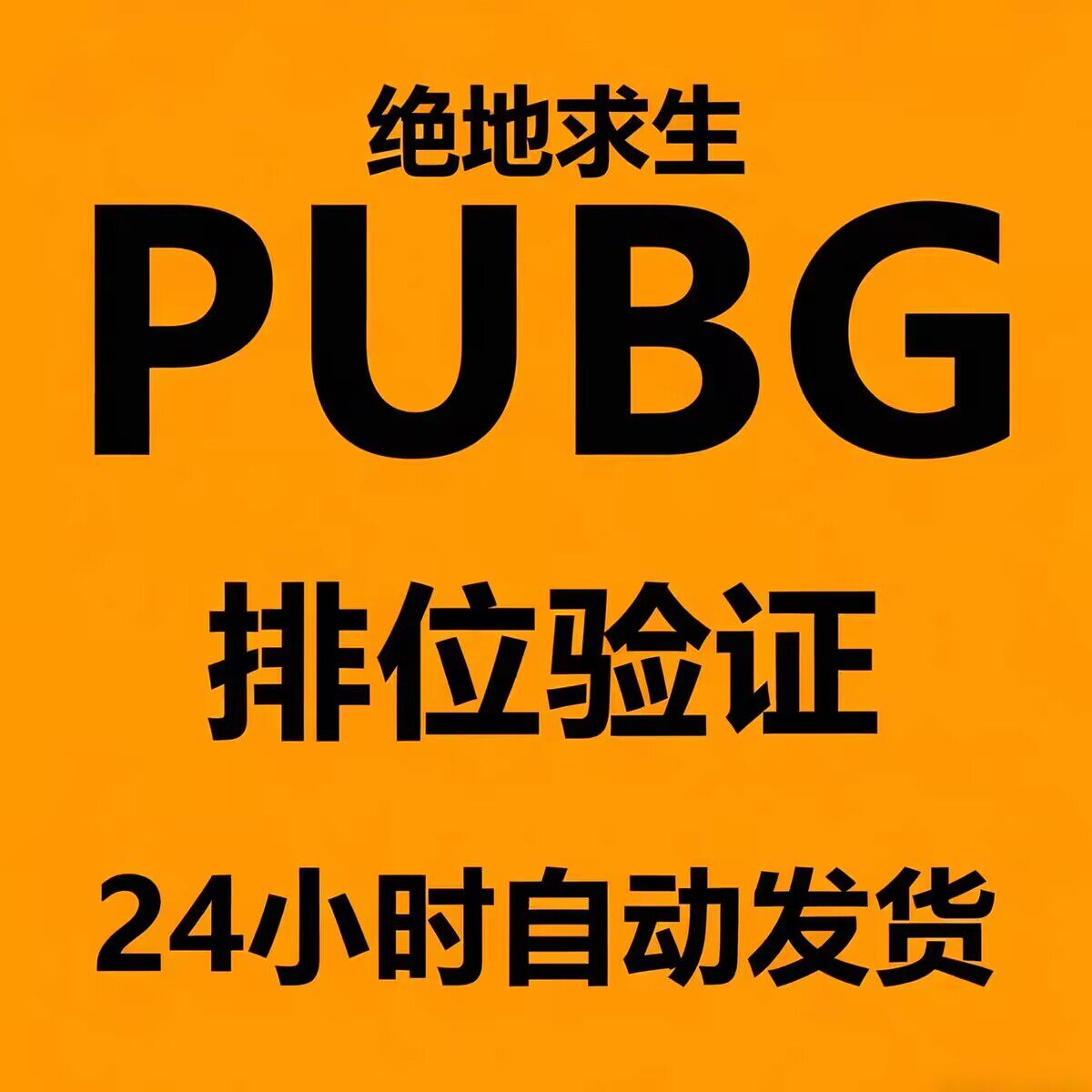 PUBG 排位验证
