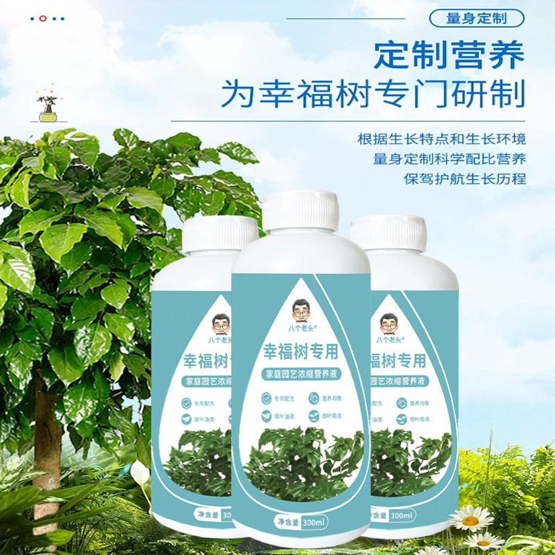 幸福树专用营养盆栽植物室内家用