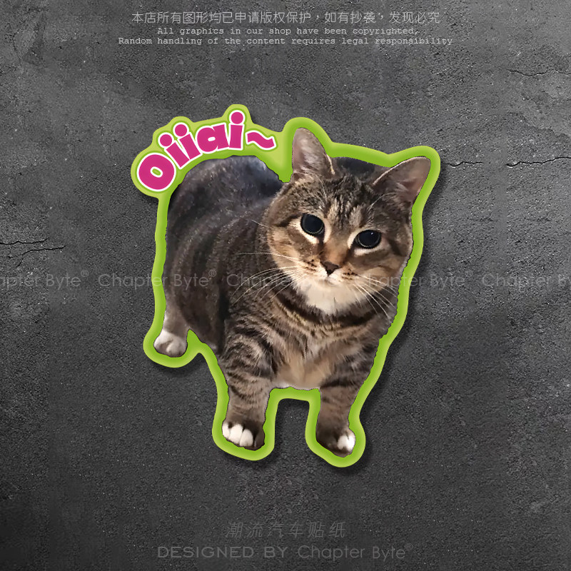 汽车贴纸oiiai猫个性创意可爱猫
