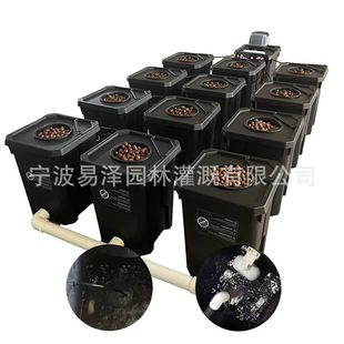 RDWC-12个种植桶系统 深液水循环水培系统hydroponics system 无