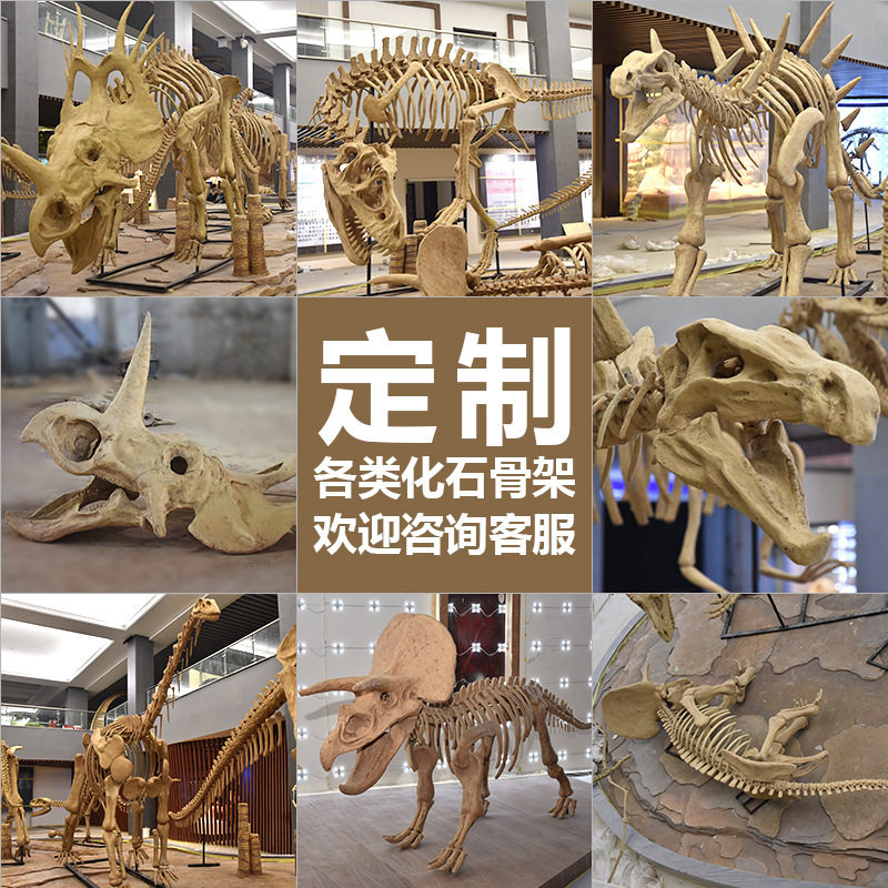大型仿真恐龙骨架化石考古博物馆展览陈列骨骼标本摆件恐龙模型