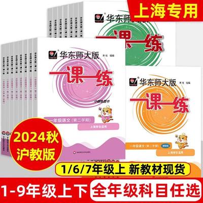 2024一课练沪教版年级上册
