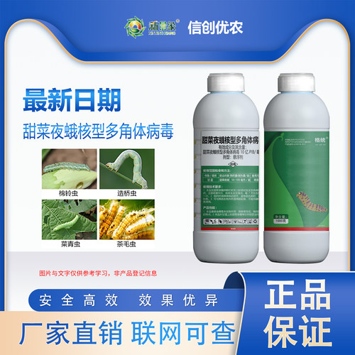 甜菜夜蛾多角体斜纹夜蛾杀虫剂