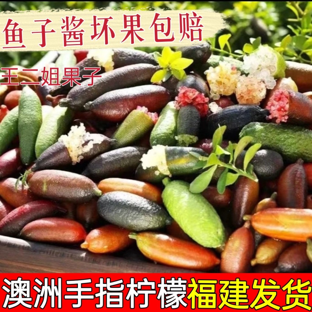 【现货】新鲜手指柠檬稀有澳洲拇柠檬
