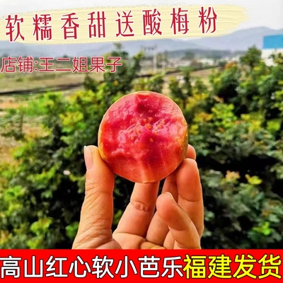 福建高山红心芭乐新鲜水果当季现摘现发孕妇水果芭乐