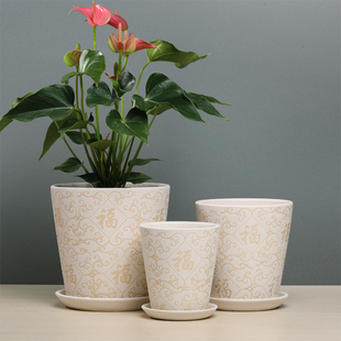 珍珠福花盆陶瓷带托盘中号-大号-特大号室内阳台红掌兰花绿植花盆