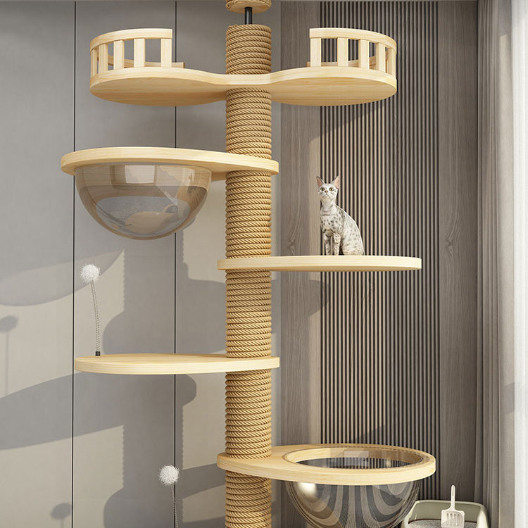 通天柱猫爬架飘窗配件pvc顶天立地猫爬架实木猫窝猫树一体不占地