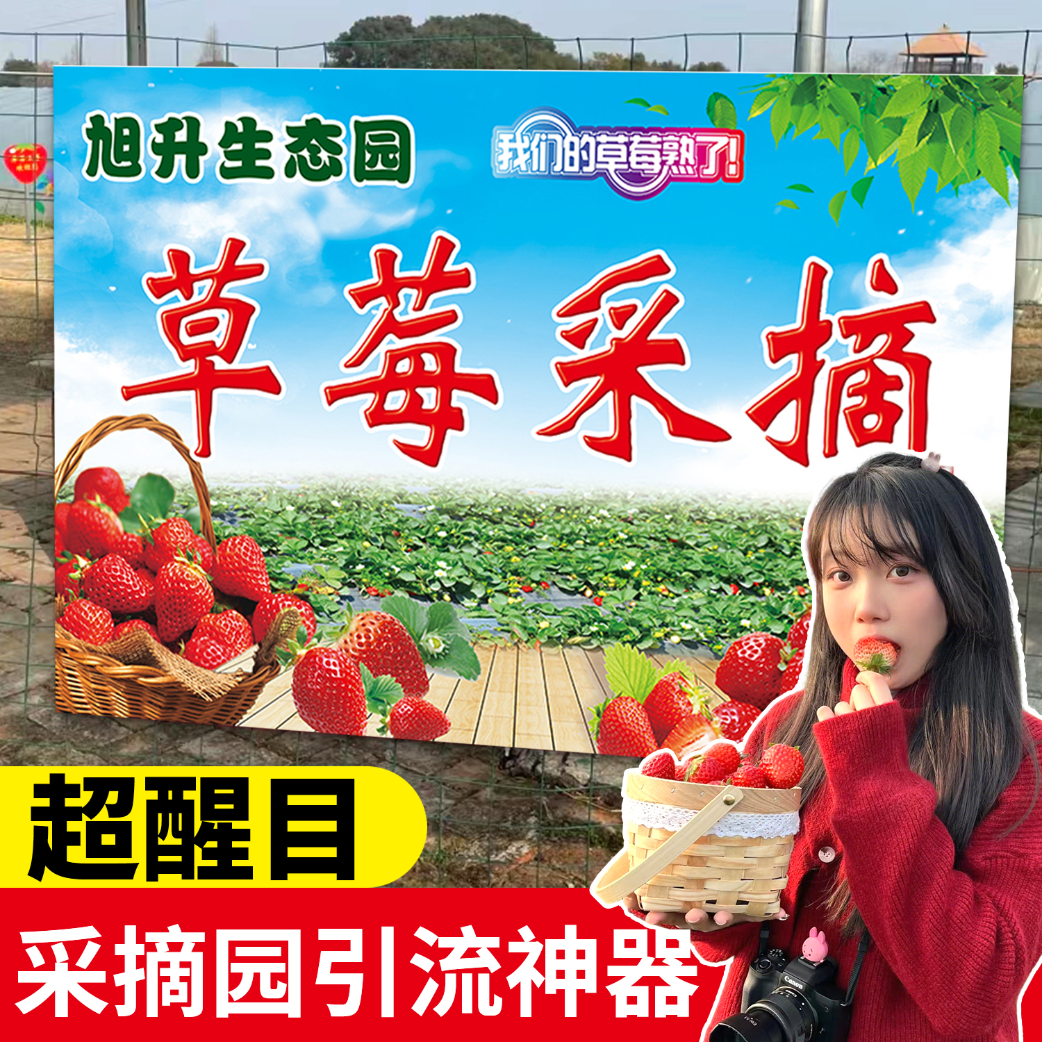 草莓采摘园广告牌宣传海报草莓广告贴纸草莓广告牌喷绘布打印定制