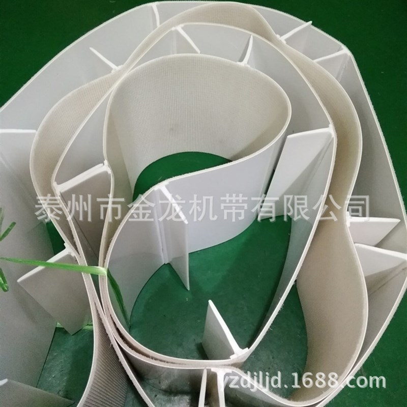 金龙定 制 食品输送带 食品传送带 生产同步带传输