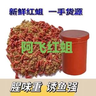 红蛆虫钓鱼活饵鲫鱼石斑桃花马口野钓鲜活饵料红蛆钓鱼新鲜蛆虫