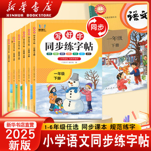 智慧仁小学语文一二三四五六年级上册下册同步练字帖小学生专用开学打卡语文人教版练字字帖练习册笔画笔顺练习写字每日一练