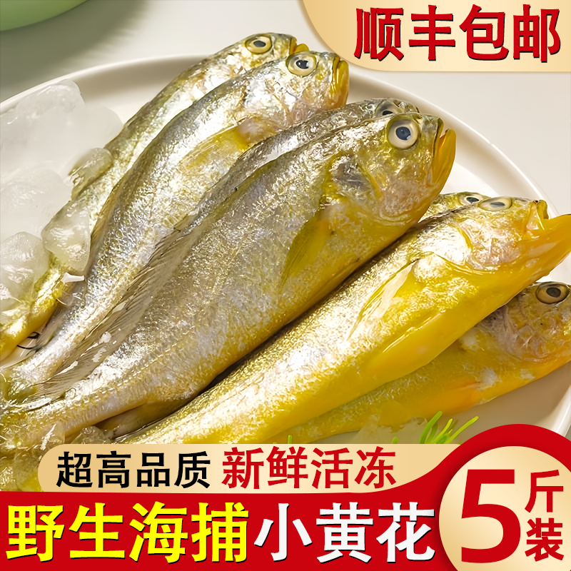 小黄花鱼新鲜海捕冷冻海鱼现捕小黄花海鲜水产黄鱼生鲜水产批发