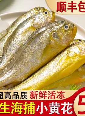 小黄花鱼新鲜海捕冷冻