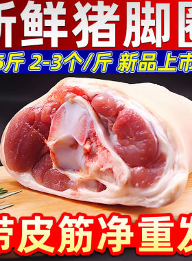 多肉带筋猪拐骨顺丰包邮速发
