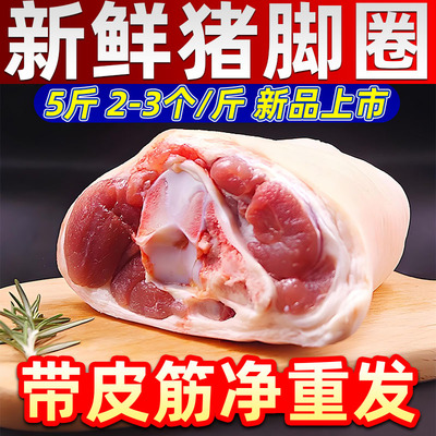 多肉带筋猪拐骨顺丰包邮速发