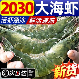 青岛大虾鲜活冷冻特大号速冻青岛海鲜生鲜冻虾白虾新鲜水产基围虾