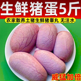 新鲜猪蛋蛋冷冻猪睾丸新鲜猪球猪宝批发猪外腰猪下水土猪烧烤酒店