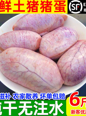 新鲜猪蛋猪宝6斤顺丰包邮