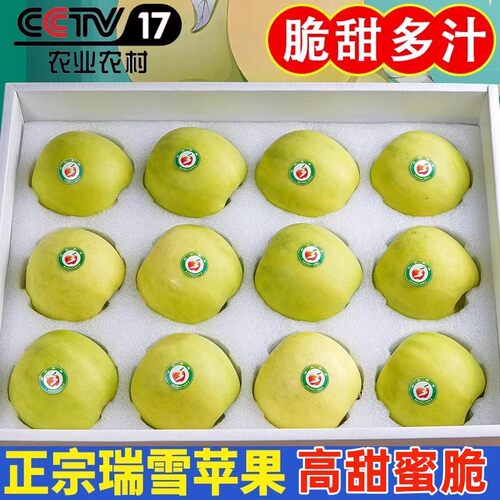 陕西白水瑞雪苹果新鲜水果当季糖心脆甜丑苹果瑞阳翡翠青苹果礼盒