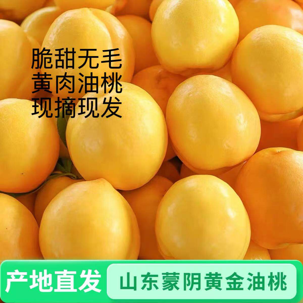 山东正宗蒙阴黄桃新鲜水果当季黄金蜜桃大脆黄肉毛桃子整箱顺丰