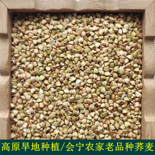 甘肃会宁特产荞麦米五谷杂粮高原旱地种植三角麦粗粮荞珍子1500克