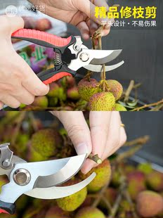采果剪子葡萄水果专用剪刀弹簧剪修花梳果剪刀树枝稀疏果摘果小剪