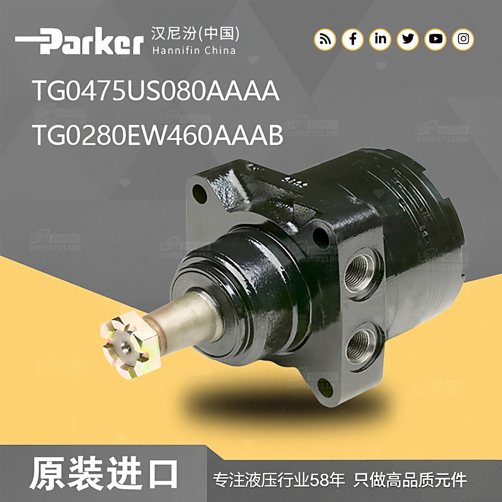 Parker美国派克TG0475MS050AAAB TG0250 TG0625MS050AAAB液压马达