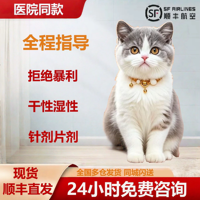 猫干性湿性冠状三天好转多仓发货