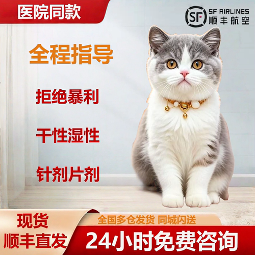 猫干性湿性冠状三天好转多仓发货