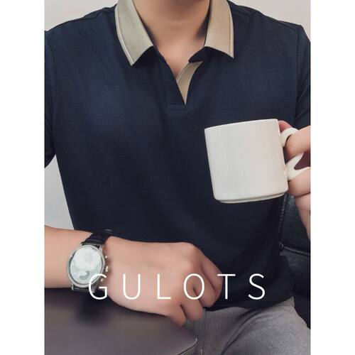 Gulots 夏季凉感桑蚕丝高端商务polo衫男款短袖海鸥领T恤