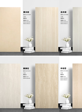 18厚微柔光600X1200庭院石英砖