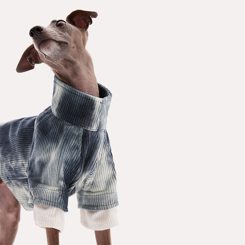 KNOWZA狗狗衣服中型犬四季卫衣