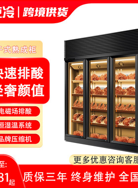 牛肉干湿式熟成柜红酒柜恒温商用冷藏西餐厅和牛冷冻展示柜排酸柜