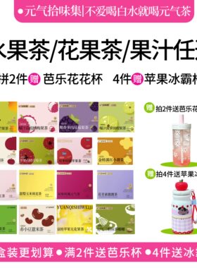 元气花果茶2件送杯水果茶果汁袋泡茶冲泡水喝冷泡茶耐泡养生茶