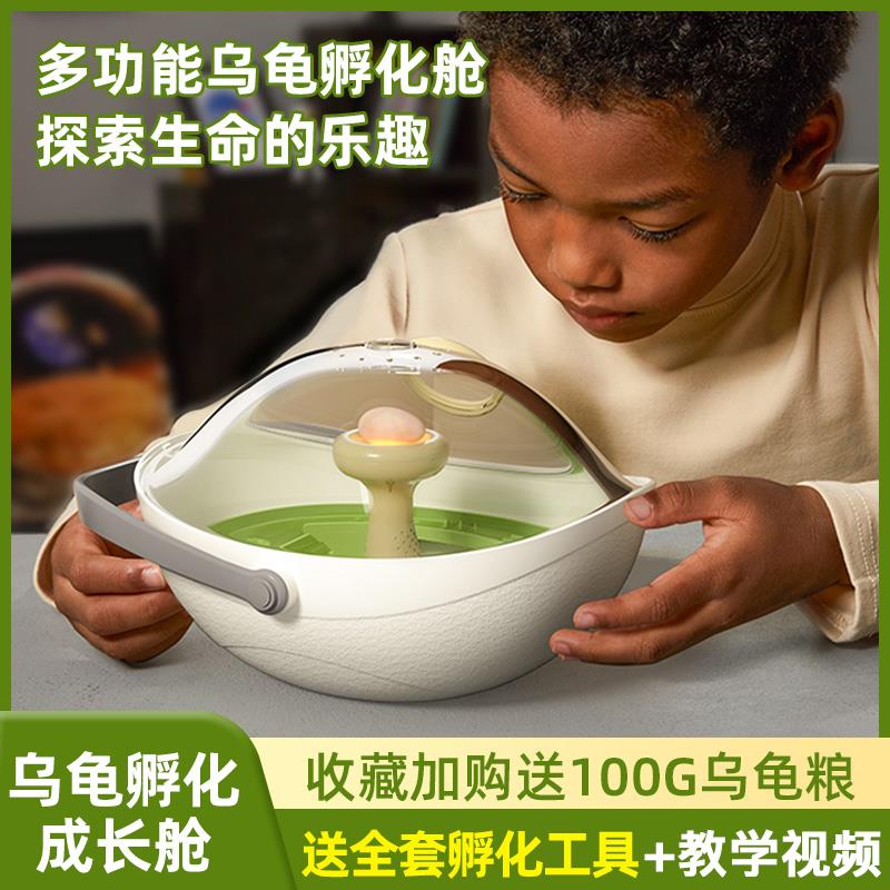 乌龟蛋可孵化成长仓活物爬台专用乌龟缸宠物饲养箱小龟盒六一礼物