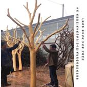 香樟树杆造型酒吧餐厅咖啡厅摆件干树枝装 饰天然枯木去皮枯树造型