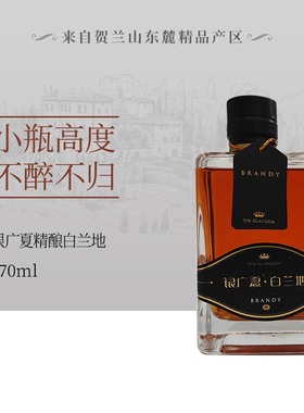 贺兰山东麓银川产区银广夏白兰地两瓶礼盒装（270ml*2）40%vol