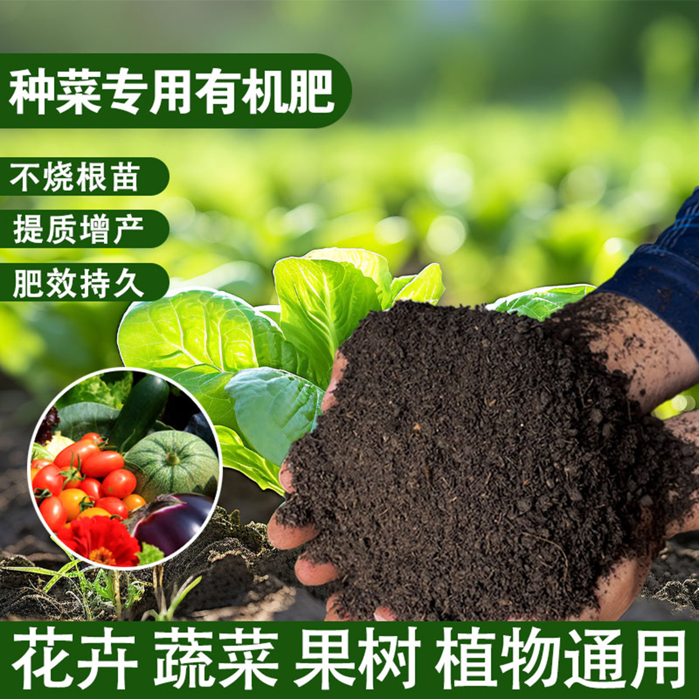 纯羊粪发酵有机肥家用养花种菜