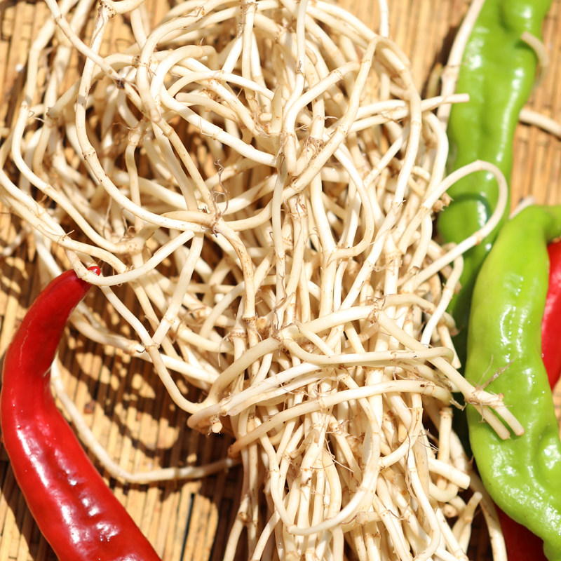 湖北特产现挖鱼腥草新鲜折耳根