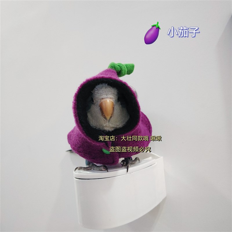 小茄子款鹦鹉披风斗篷鸟衣服鹦鹉披风玄凤加厚保暖外出服鹦鹉用品