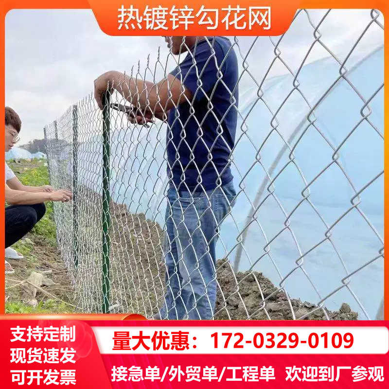 镀锌铁丝网围栏养殖鸡鸭牛羊网