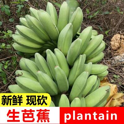 广东新鲜芭蕉青皮大蕉煲汤食材